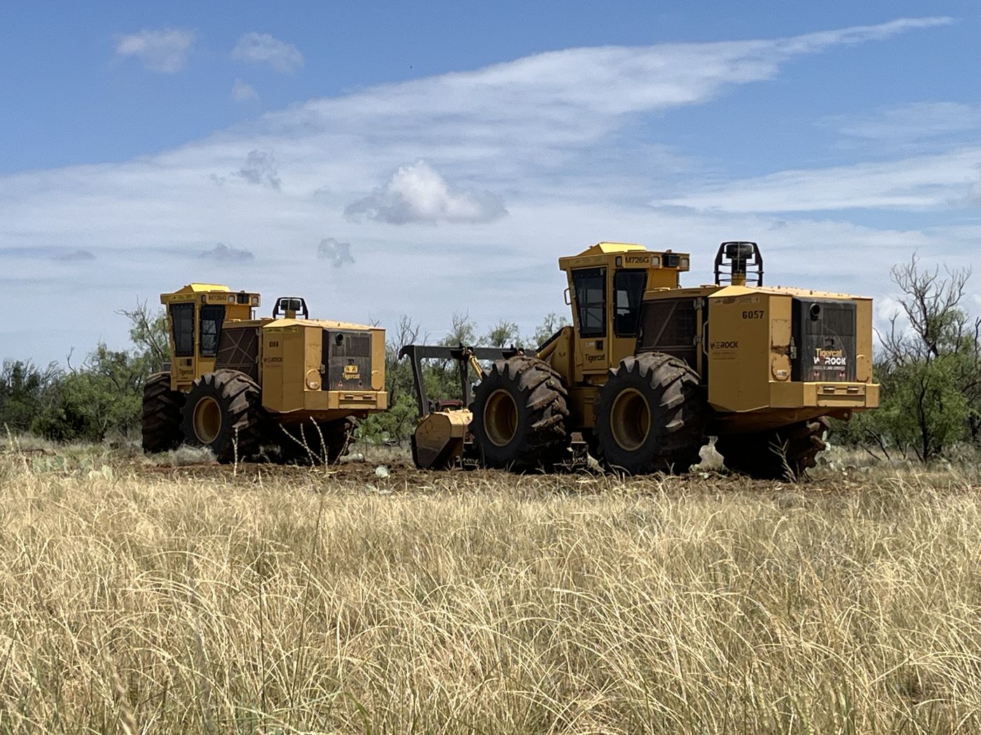 Two Tigercat mulchers parked in tall grass